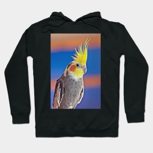 For The Love Of Cockatiels: Photo + Digital Art Hoodie